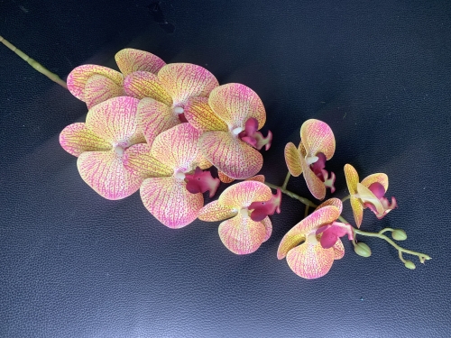 ЦС-46 (Орхидея силикон  9 голов H-97 см.) 