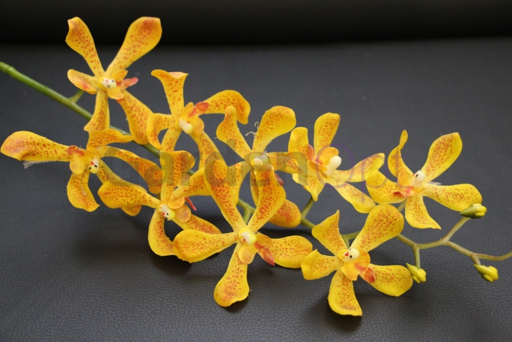 ЦС-008  (Орхидея силикон H- 90 см ).