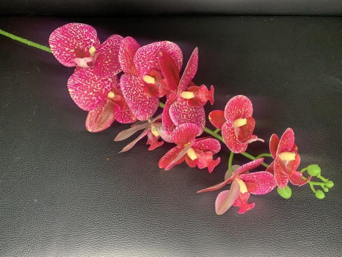 ЦС-16 (Орхидея силикон  9 голов H-97 см.)